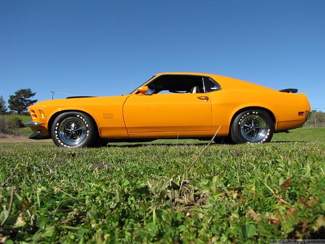 Orange Mustang in Grass